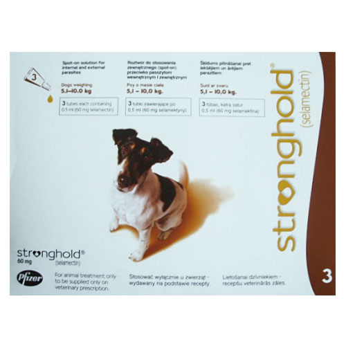 stronghold chat 1 pipette